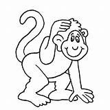 Macaco Desenho Imagensemoldes sketch template
