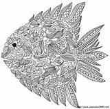Erwachsene Fisch Ausdrucken Fische Malvorlagen Colorir Pesce Decorare Adulti Vorlagen Peixe Vielen Ausmalen2000 sketch template