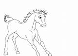 Spirit Coloring Pages Stallion Cimarron Riding Drawing Horse Foal Rain Printable Sheets Colorings Getdrawings Fancy Lineart Bambi Library Clipart Popular sketch template