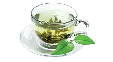 explorador la temperatura  el tiempo de remojo pueden afectar los antioxidantes en el te