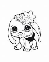 Coloring Littlest Shops Chihuahua Coloriages Lps Letscolorit Coloringtop Puppies Clipartmag Cat Getcolorings sketch template