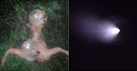 ugly ‘alien is found in san jose california after ufo sighting metro