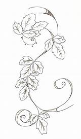 Ivy Poison Tattoo Plant Drawing Leaf Vine Drawings Tattoos Tat Take Getdrawings Poision Deviantart Visit Stats Paintingvalley sketch template