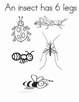 Coloring Legs Insect Six Has Kids sketch template