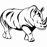 Outline Animal Animals Drawing Outlines Clipart Line Drawings Wild Clip Rhino Printable Only Cliparts Library Arty Dolphin Vector Coloring Clipartmag sketch template