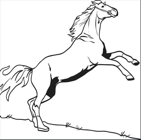 derby coloring pages  getdrawings