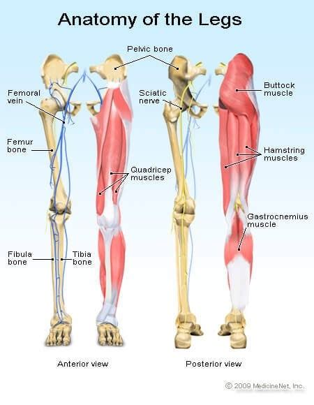 Types Of Broken Bones Symptoms Treatment Healing And Surgery