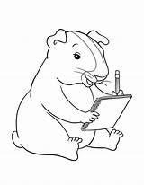 Guinea Pig Coloring Writing Colouring Pages Color Smelling Food Fnaf Colorluna sketch template