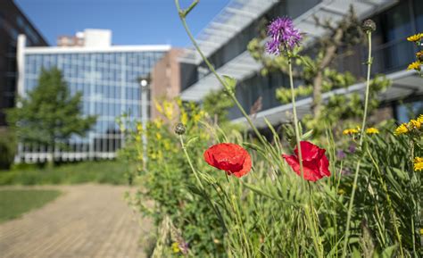 ter reede vlissingen vacatures wvo zorgt voor werk