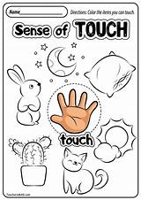 Senses Worksheets Teachersmag Worksheet Sight Discover sketch template