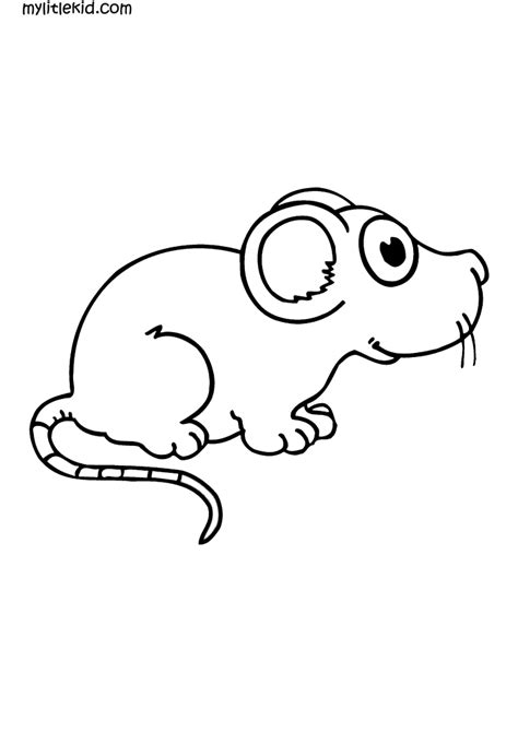 mouse coloring pages  kids print