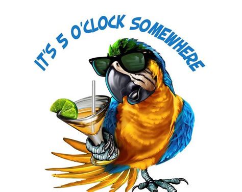 drinking parrot decal full color parrot  sunglasses holding  drink decal full color
