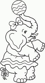 Zirkus Elefant Colorir Weiblicher Circo Elefante Malvorlagen Elefantes Desenhos Sinestro Malvorlage Mewarnai Anúncios Template sketch template
