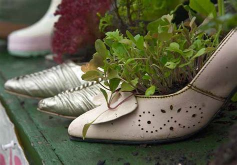plants  flowers   shoes  boots  creative