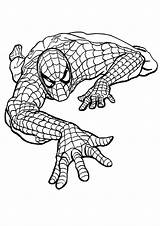 Coloring Spiderman Pages Spider Man Clipartmag Print sketch template