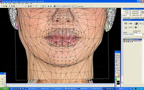 texturing the face of a secondlife avatar using
