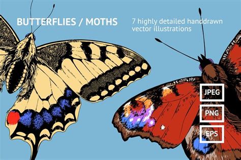 butterflies moths