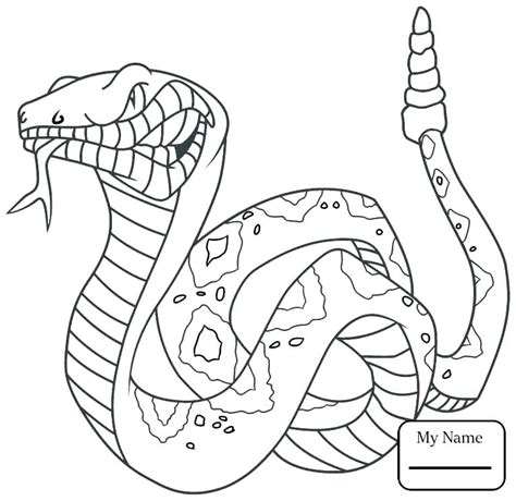 reptile coloring page images