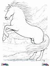 Coloring Horse Pages Horses Printable Realistic Mustang Draft Detailed Clydesdale Getcolorings Running Colouring Getdrawings Colorings Color sketch template
