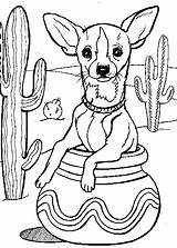 Chihuahua Chien Colorear Colouring Malvorlagen Pencil Azcoloring Chi sketch template