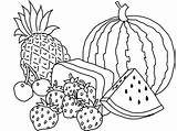 Fruits Types Coloring Various Kids sketch template