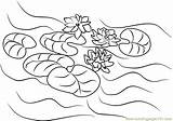 Lilies Warhol Andy Coloringpages101 sketch template