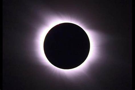 cofc campus   dark temporarily  solar eclipse