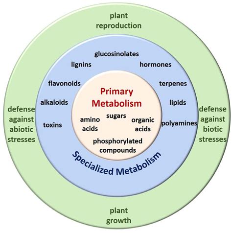 metabolites  full text metabolomics   emerging tool   study  plantpathogen