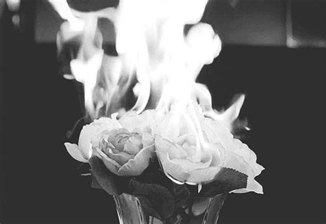 Black And White Fire  Find And Share On Giphy