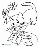 Coloring Cat Cats Pages Printable Kids sketch template