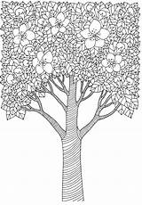 Coloring Pages Tree Doodle Flowers Advanced Trees Spring Nature Doodles Flower Kidspressmagazine Elements Adults Blossom Beautiful Mantra sketch template