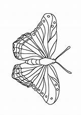Butterfly Coloring Pages Butterflies Kids Color Beautiful Flying Big Wings Patterns Different Clipartqueen sketch template