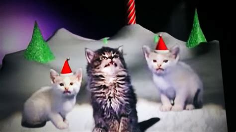 kerst liedjes zingen met katten youtube