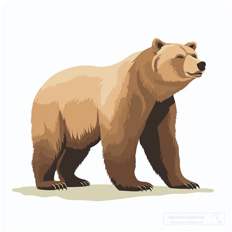 bear clipart brown bear  strong curved claws