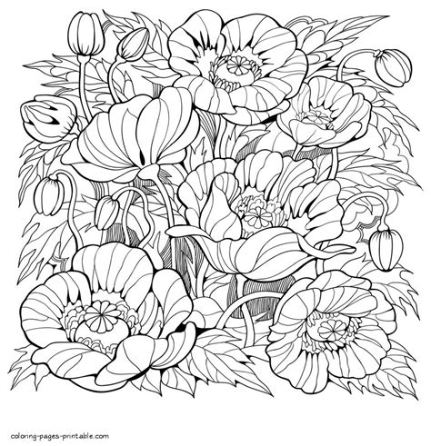 pretty flower coloring pages adult coloring pages