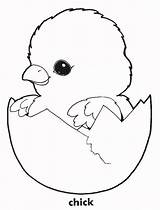 Coloring Chick Chicken Pages Printable Chickens Baby Cute Color Chicks Print Easter Colouring Kids Book Animal Clipart Oocities Sheets Animals sketch template