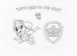 Coloring Patrol Paw Skye Pages Colouring Clipart Badges Birthday Helicopter Visit Library Comments sketch template