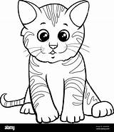 Kitten Gray sketch template
