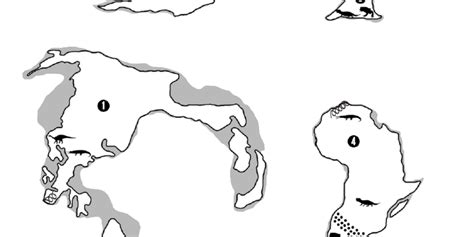 plate tectonics map worksheet