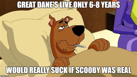 Scooby Doo Meme 2 By Madarao123 On Deviantart