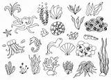 Algas Marinas Shutterstock Gesetzte Anlagen St3 Alga Plant Zeedieren Instellen Planten Vectorillustratie Dibujar Crmla Imagui Jellyfish Ilustración sketch template