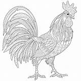 Rooster Coloring Pages Getcolorings Cock Vector sketch template