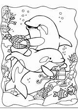 Kleurplaat Dolfijnen Kleurplaten Printen Grote sketch template