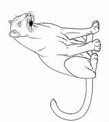 Panther Animal Momjunction sketch template