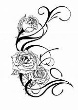 Tattoo Rose Designs Clipart sketch template