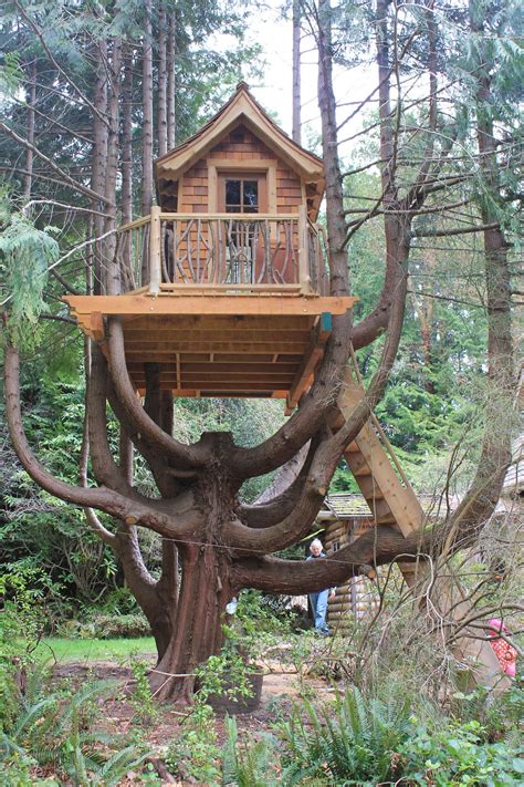 treehouse   tree house tree house diy tree house designs
