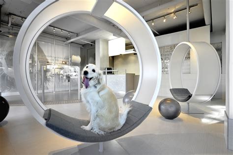 unleashed dog spa square  interiors archdaily