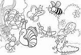 Insect Insects 30seconds sketch template