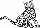 Ocelot Leopardo Ocelotes Cucciolo Animali Cheetah Coloring4free Coloradisegni Pages2color Brisa Raskrasil sketch template