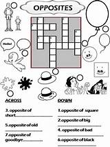 Crossword Puzzles Opposites Printable Worksheet Children sketch template